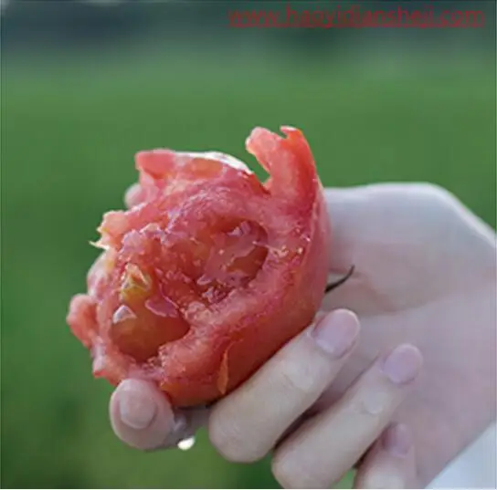 LR静物调色，通过LR给静物调出夏日清新色调_www.haoyidiansheji.com