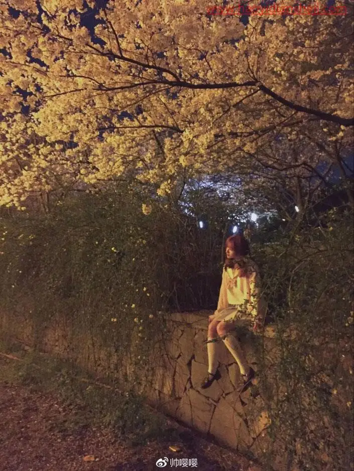 人物调色，用PS打造唯美的夜景樱花人像_www.haoyidiansheji.com