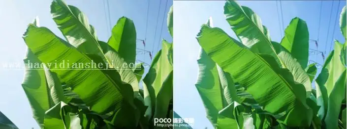 LR风景调色，调出夏天小清新照片的味道_www.haoyidiansheji.com