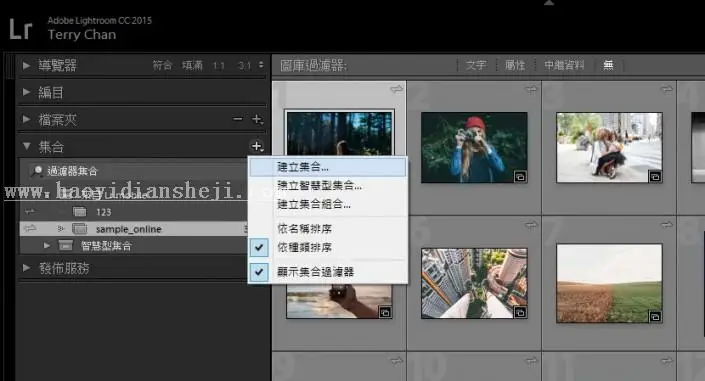 LR技巧，在LR集合照中生成网址分享_www.haoyidiansheji.com