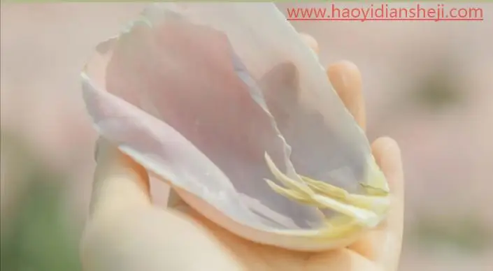 后期调色，通过PS打造莫奈温柔系色调的照片_www.haoyidiansheji.com