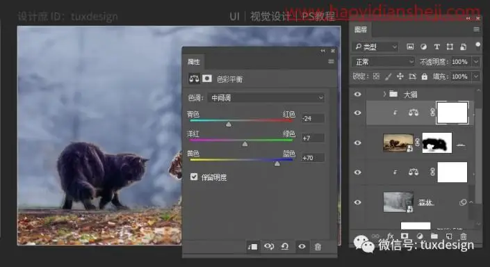 创意合成，通过PS合成一幅猫虎大战一触即发的场面_www.haoyidiansheji.com