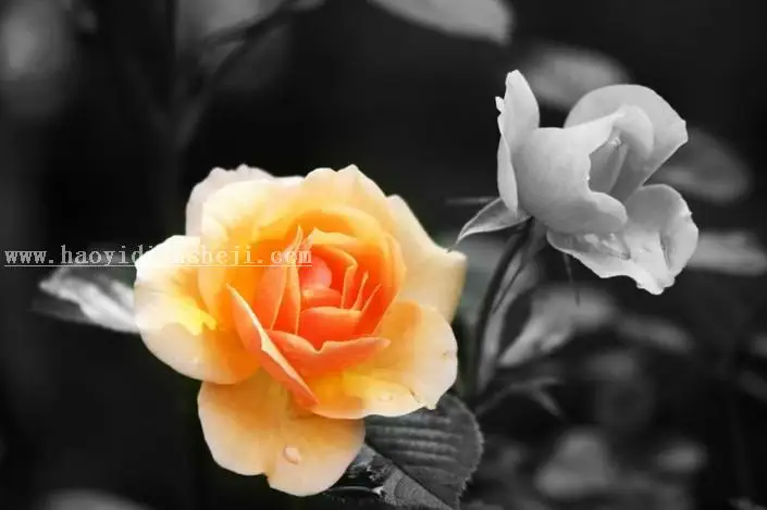 蒙版教程，通过PS的蒙版给图片进行快速的调整_www.haoyidiansheji.com