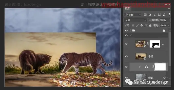 创意合成，通过PS合成一幅猫虎大战一触即发的场面_www.haoyidiansheji.com