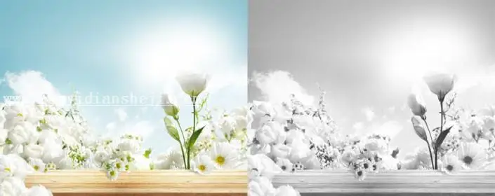 素材使用，如何选择适合的图片素材_www.haoyidiansheji.com