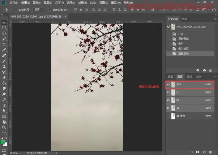 通道抠图，用通道抠出细小的花朵_www.haoyidiansheji.com