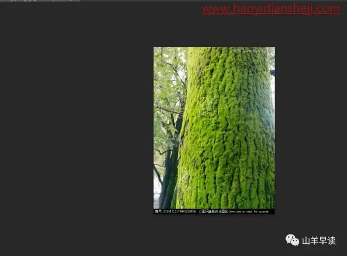 人像恶搞，制作比较搞怪的人树结合场景_www.haoyidiansheji.com