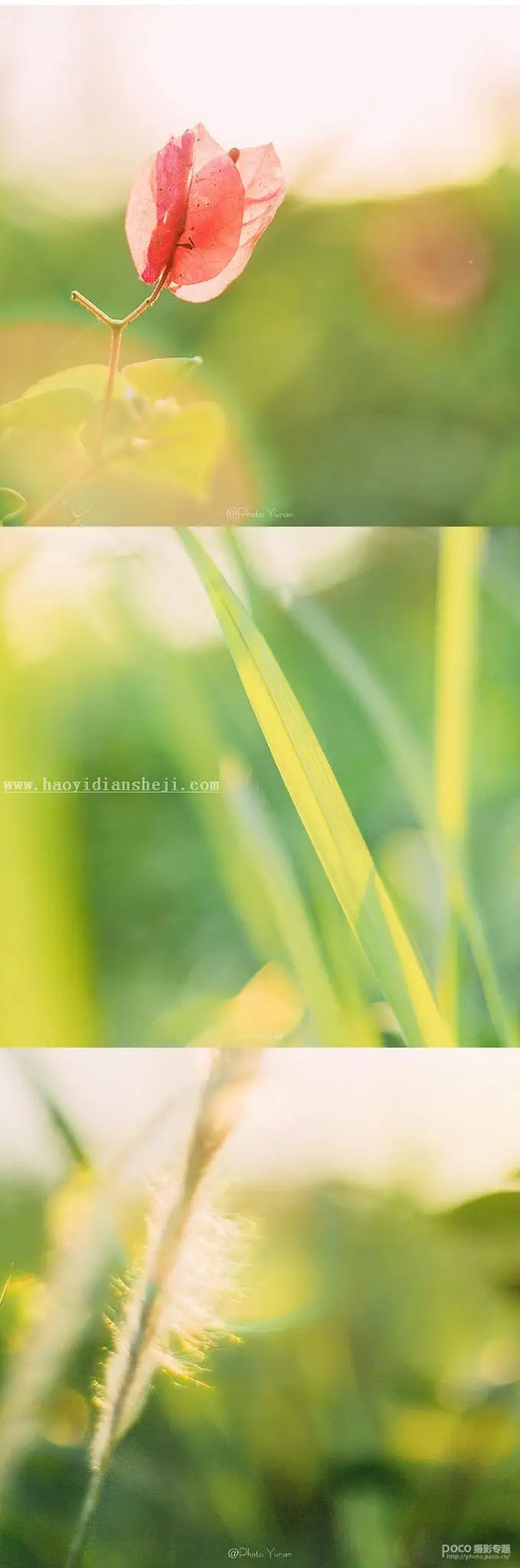 静物调色，明亮通透的小清新静物照前后期思路_www.haoyidiansheji.com