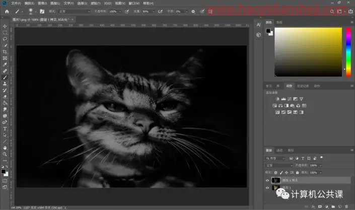 撕纸效果，在PS中给猫咪照片制作艺术的撕纸效果_www.haoyidiansheji.com