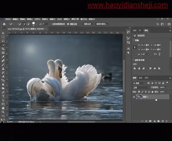 创意照片_www.haoyidiansheji.com