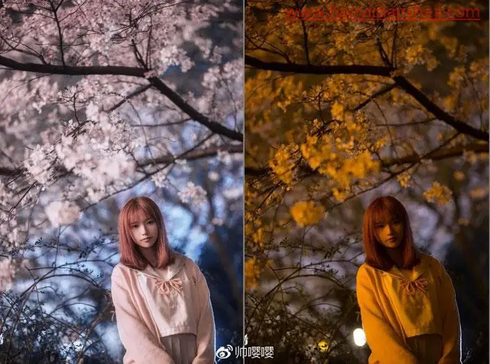 人物调色，用PS打造唯美的夜景樱花人像_www.haoyidiansheji.com