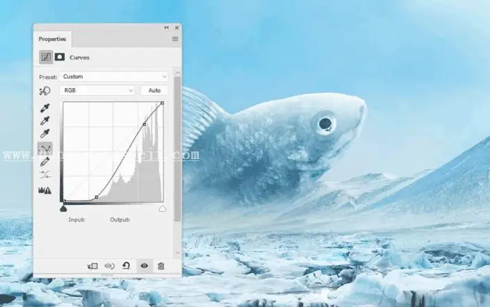 冰雪效果，在PS中合成一个超现实感觉的冰块鱼_www.haoyidiansheji.com