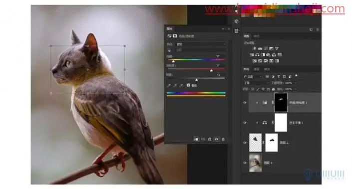 创意合成，在PS中制作长有猫头的猫头鹰_www.haoyidiansheji.com