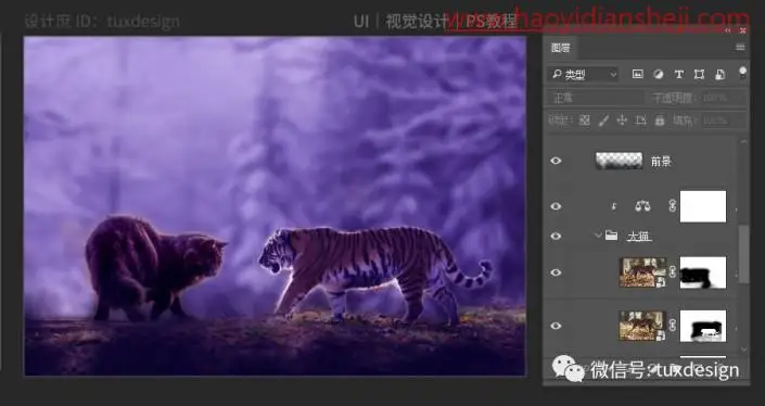 创意合成，通过PS合成一幅猫虎大战一触即发的场面_www.haoyidiansheji.com