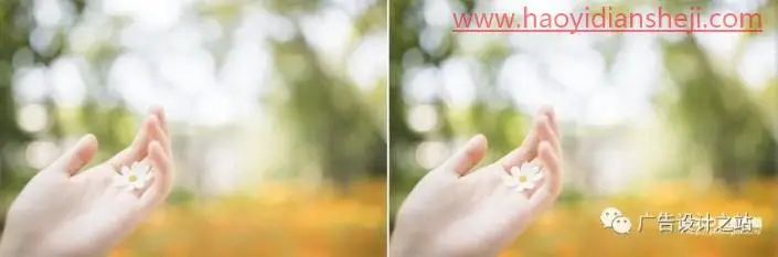 LR调色教程，用LR把夏天的颜色以图片的样式呈现出来_www.haoyidiansheji.com