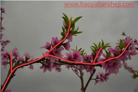 LR静物调色，用PS给静物风景照片调出更加丰富的颜色_www.haoyidiansheji.com