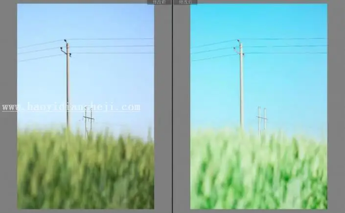 LR调色教程，通过LR给夏日静物调出一种小清新色调_www.haoyidiansheji.com