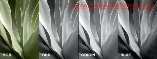 调色工具，通过PS中的计算工具给树叶调出另类的颜色_www.haoyidiansheji.com