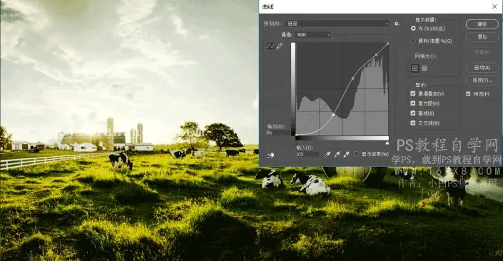 工具教程，曲线工具进阶教程_www.haoyidiansheji.com