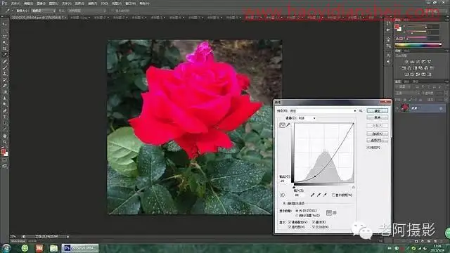 工具运用，用PS给颜色溢出严重的红色月季花校正颜色_www.haoyidiansheji.com