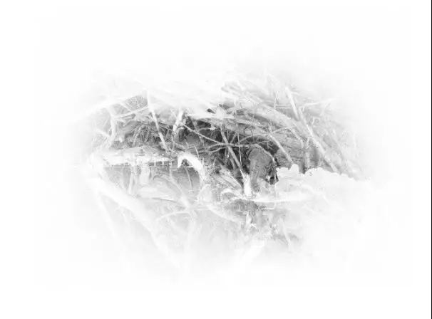 插画制作，在PS中建一个艺术马插画_www.haoyidiansheji.com