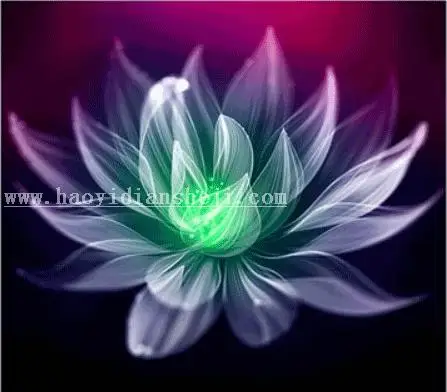 花朵绘制，用PS设计绚丽光影花朵图案_www.haoyidiansheji.com