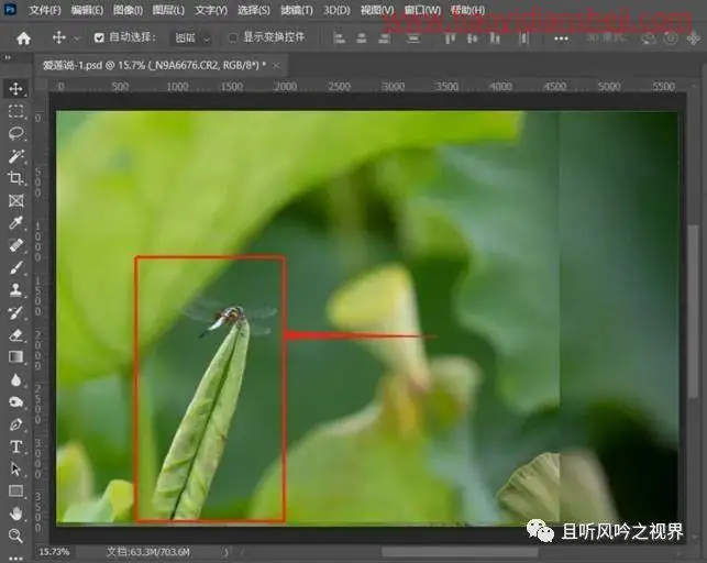 风景后期，调出清新优雅的莲蓬照片_www.haoyidiansheji.com