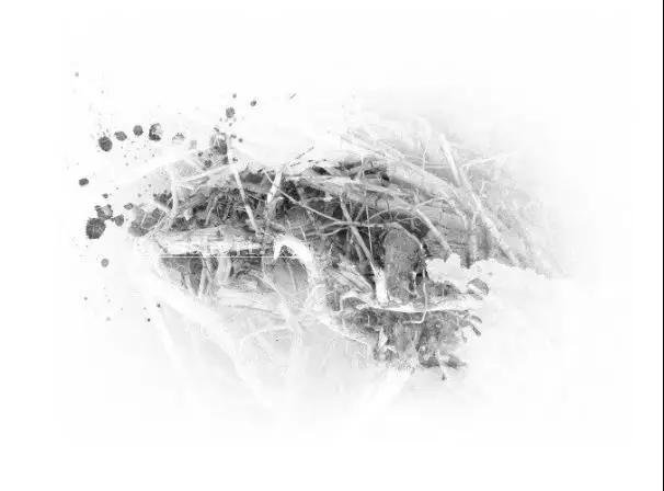 插画制作，在PS中建一个艺术马插画_www.haoyidiansheji.com