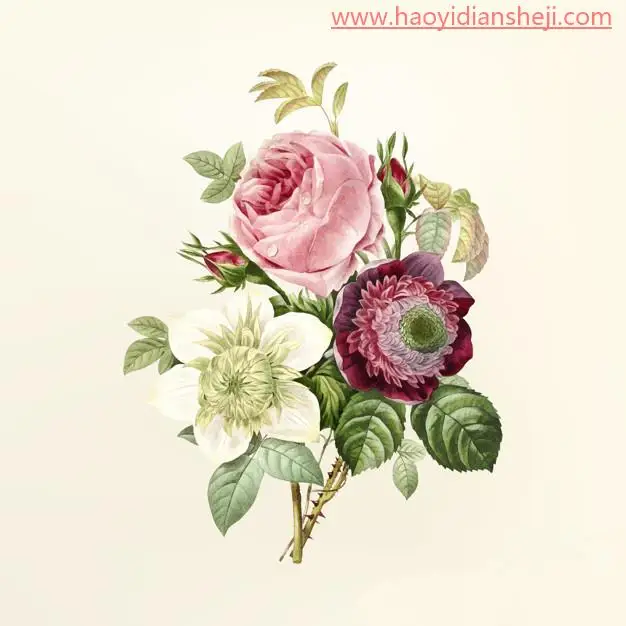 切割效果，给人物头部制作创意切割效果_www.haoyidiansheji.com