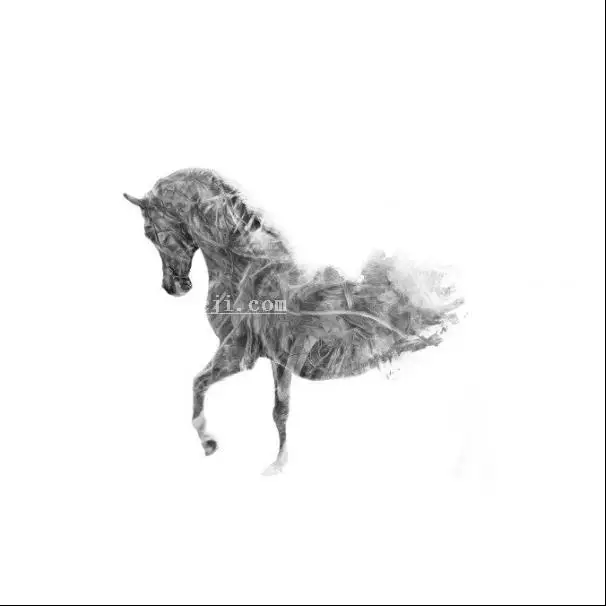 插画制作，在PS中建一个艺术马插画_www.haoyidiansheji.com