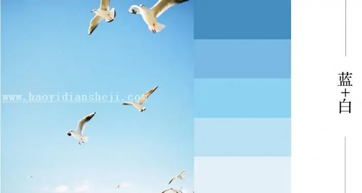 静物调色，如何拍摄静物和调色教程_www.haoyidiansheji.com