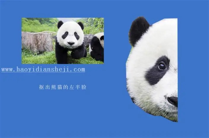 多边形效果，设计多边形熊猫图片_www.haoyidiansheji.com