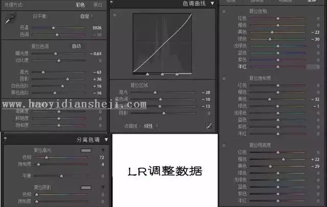 工笔画，模仿孙郡工笔画效果_www.haoyidiansheji.com