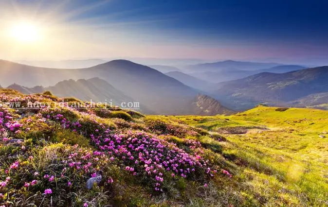 节日海报，七夕情人节浪漫主题海报_www.haoyidiansheji.com