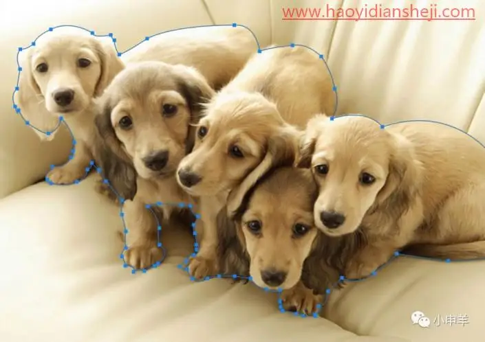 抠动物，在PS中用色彩范围抠出可爱的狗狗_www.haoyidiansheji.com