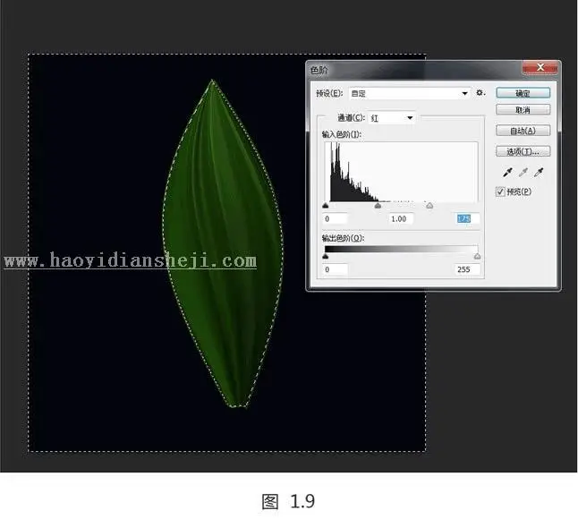 花朵绘制，用PS设计绚丽光影花朵图案_www.haoyidiansheji.com