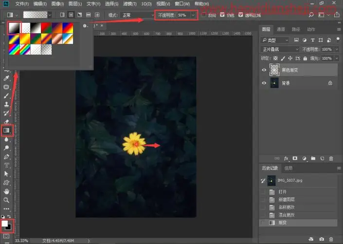 光束效果，制作阳光照射到花朵上面的效果_www.haoyidiansheji.com