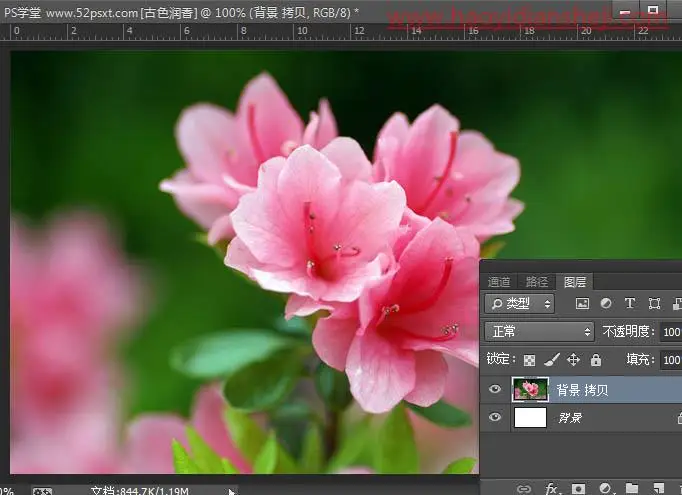 复古色，通过PS给花朵营造金色古韵色彩的效果_www.haoyidiansheji.com