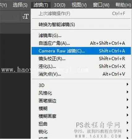 LR调色教程，通过LR给人像调出暗调森林系照片_www.haoyidiansheji.com