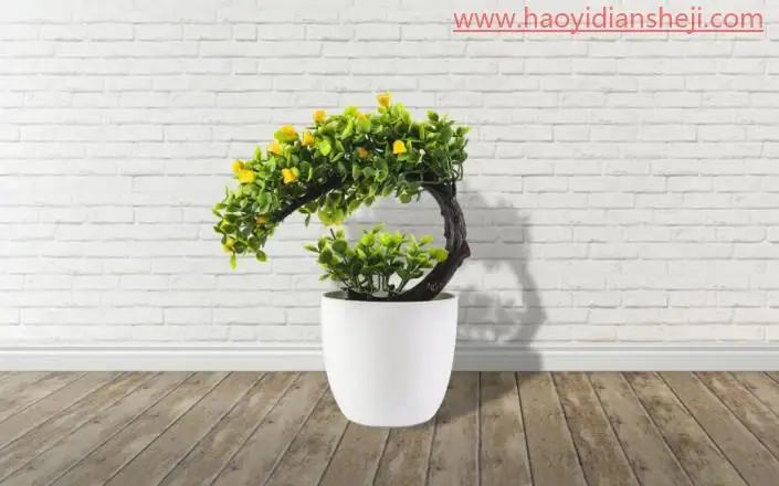 阴影效果，给花盆制作逼真的阴影效果_www.haoyidiansheji.com