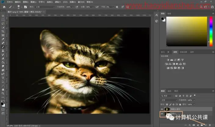 撕纸效果，在PS中给猫咪照片制作艺术的撕纸效果_www.haoyidiansheji.com