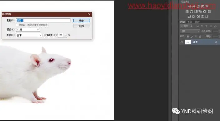 抠动物，快速抠出一只小白鼠_www.haoyidiansheji.com