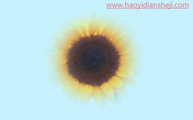 选区抠图，“选区的修改”命令相关的抠图原理及案例_www.haoyidiansheji.com
