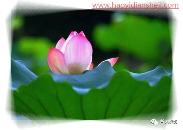 玻璃效果，制作雨后玻璃水珠效果_www.haoyidiansheji.com