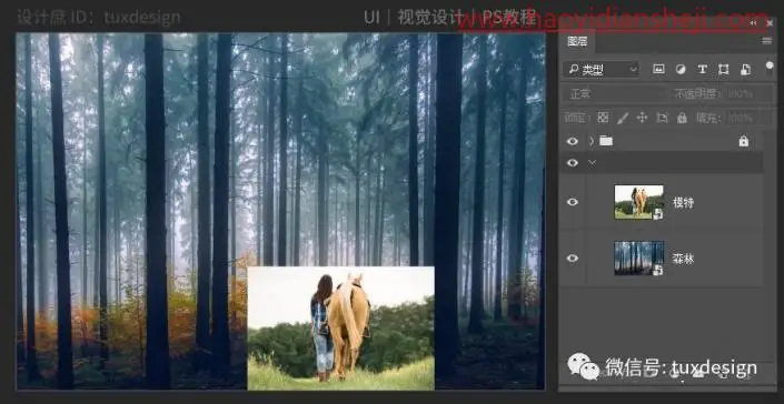 创意合成，制作一条红鱼穿梭森林的奇幻照片_www.haoyidiansheji.com