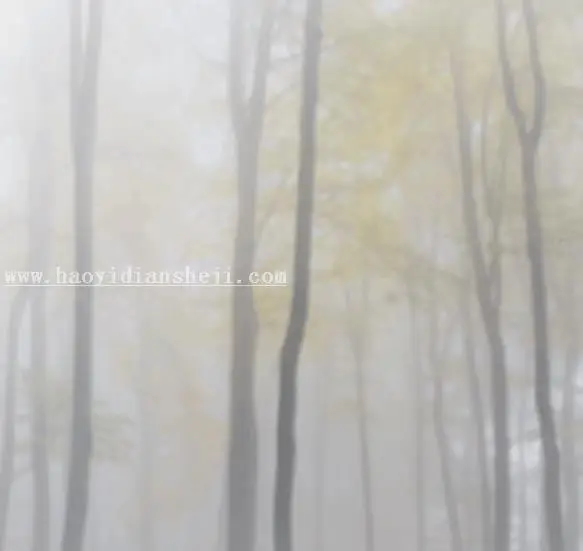 森林系，用PS给树林里拍摄的人像添加梦幻效果_www.haoyidiansheji.com