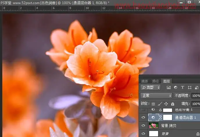 复古色，通过PS给花朵营造金色古韵色彩的效果_www.haoyidiansheji.com