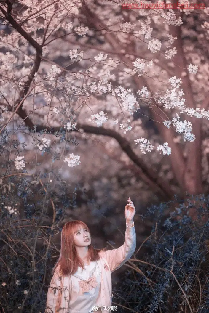 人物调色，用PS打造唯美的夜景樱花人像_www.haoyidiansheji.com