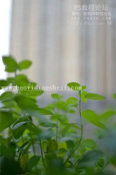 静物调色，清新静物调色教程_www.haoyidiansheji.com