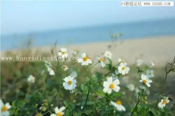 胶片色，用PS调出静物日系胶片效果_www.haoyidiansheji.com